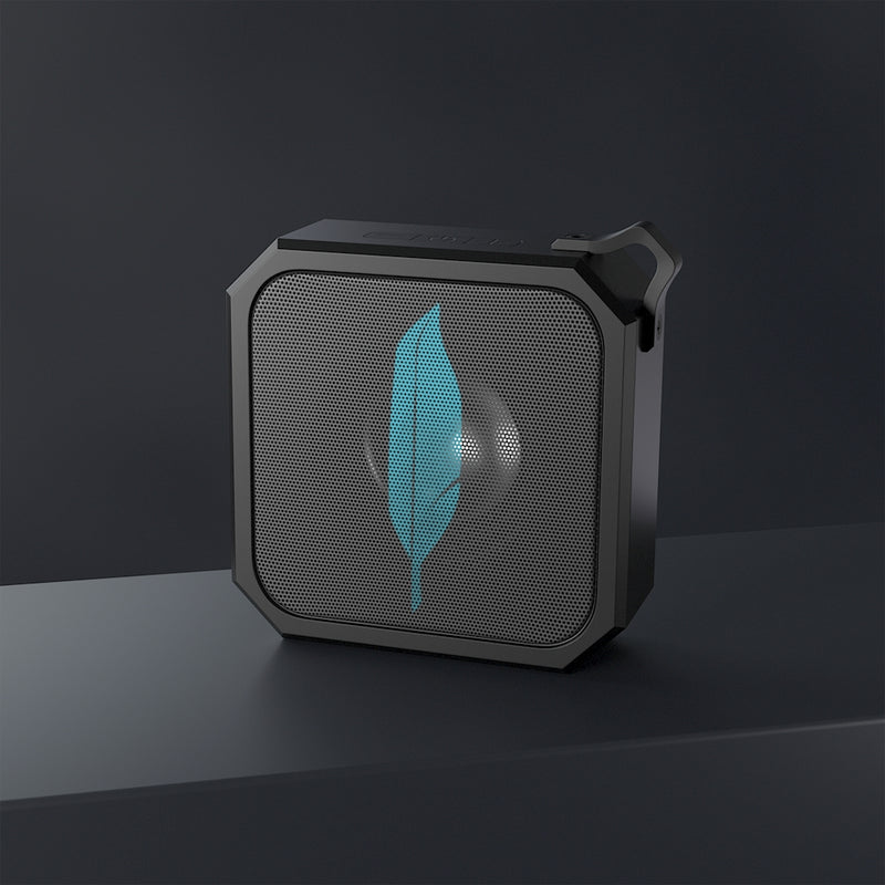Speaker
