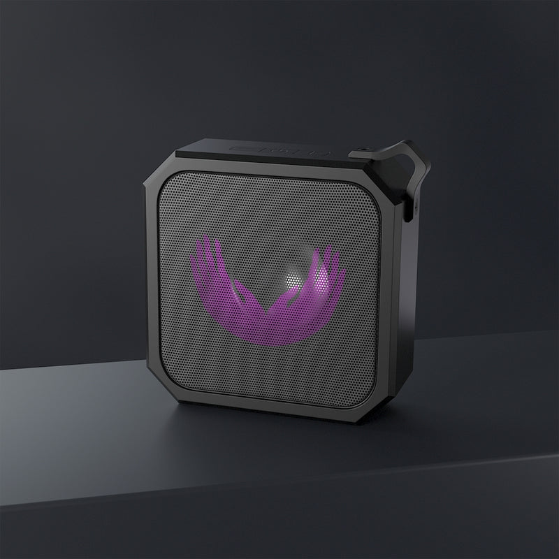 Speaker