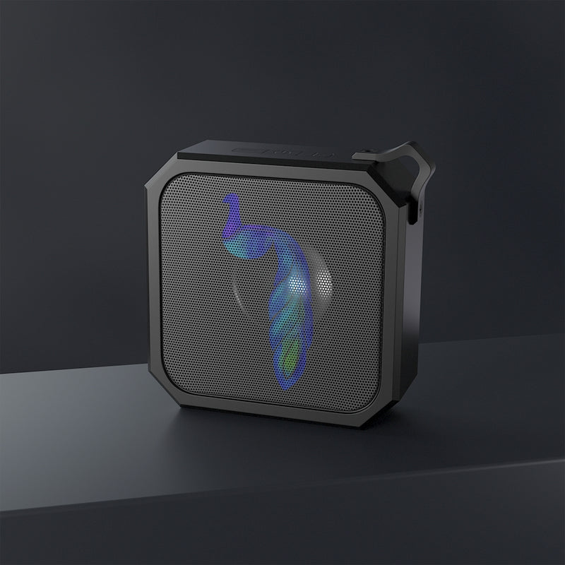 Speaker